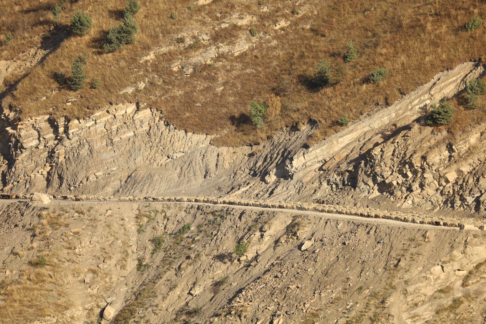 Geotechnical Engineering